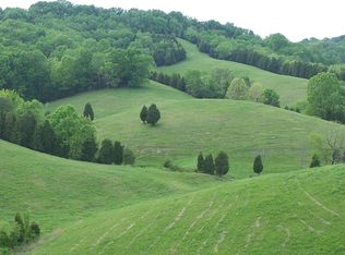 1030 Creek Rd, Bybee, TN 37713