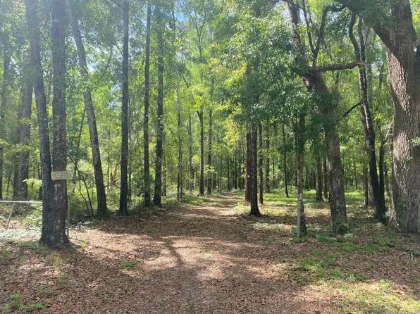 235 NE Ford Ct, Madison, FL 32340