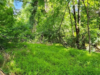 65 Southern View Trl, Fancy Gap, VA, 24328