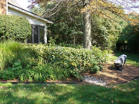 The garden