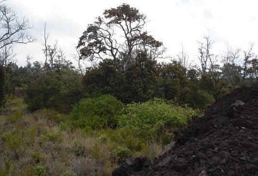 2nd image of Reef Circle Makai Lot 15