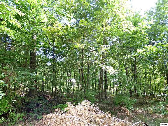 3rd image of LOT 71 Chris Dale Dr Lot 71
