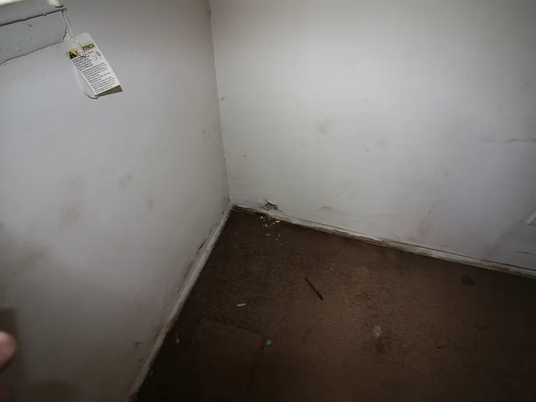 817 Gilrubin Ct — Photo 6