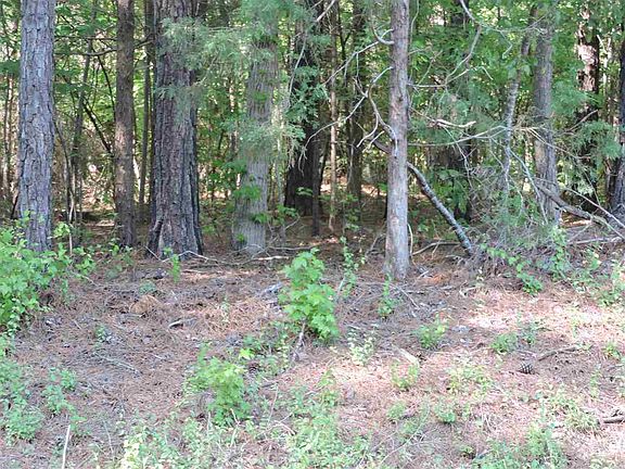 4th image of 101 Ute Ln Lot 2581