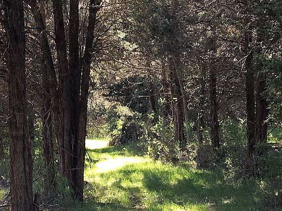 Path to Mountain Paradise.