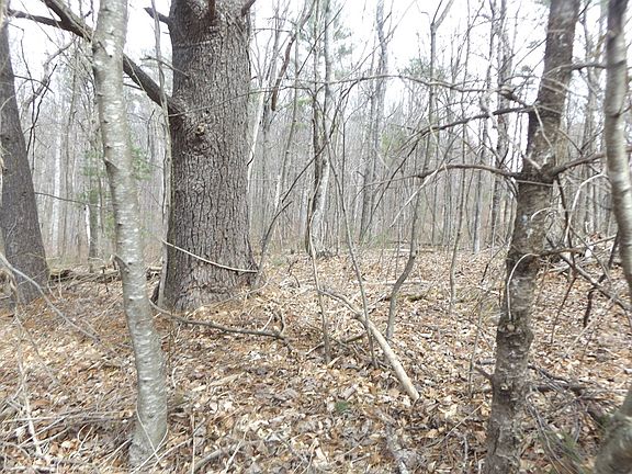 3rd image of 619 Shady Ln