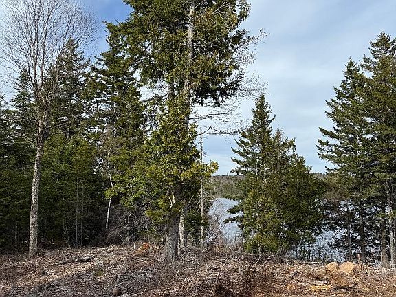 2nd image of Lot 7BH Steam Mill Road