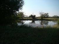 1st image of 3946 Fm Road 1836