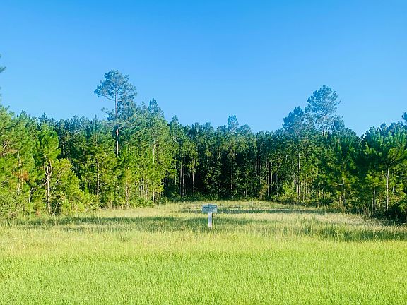 2nd image of 11381 Saddle Club Dr