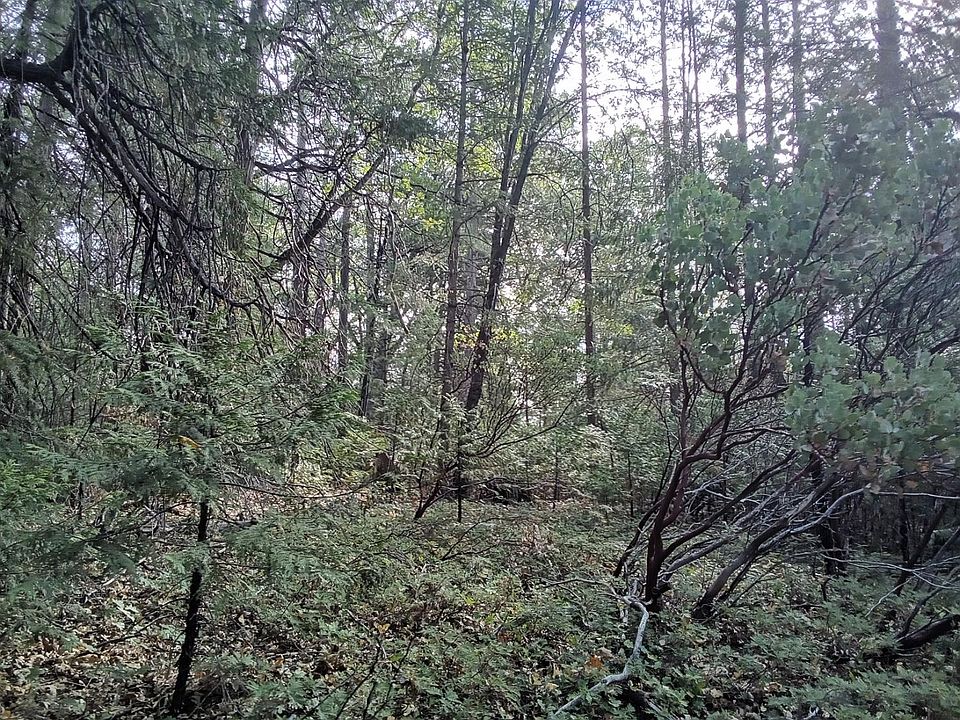 2nd image of 3 Just Rd