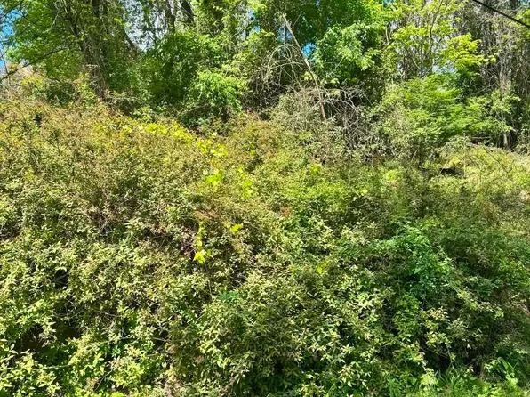 Elkins Ave, Kingwood, WV 26537