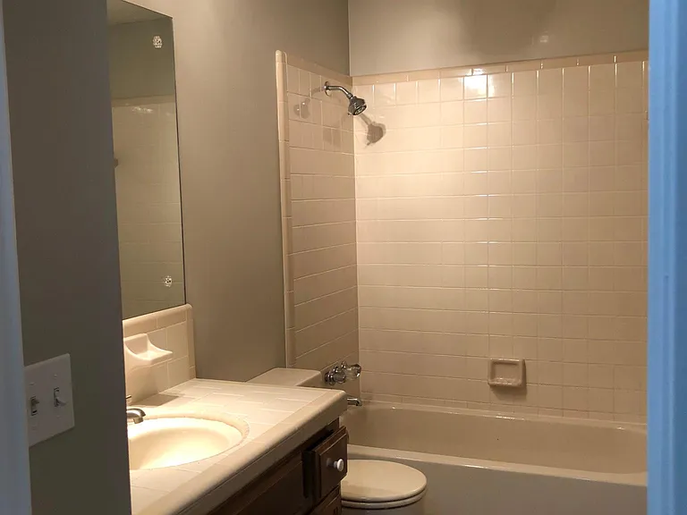 Hall bathroom