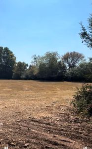 1891 Highway 92 E, Bee Branch, AR, 72013