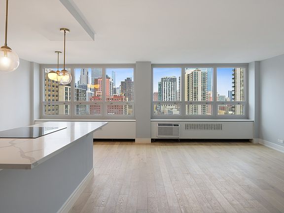 4th image of 88 W Schiller St APT 1404L