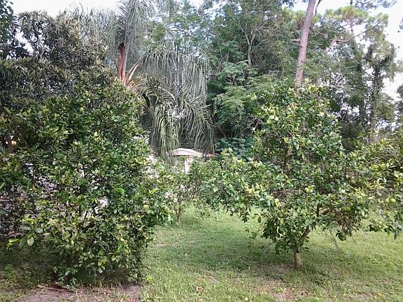 5th image of 3953 Rose Of Sharon Dr