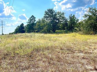 Ponderosa Loop, Paige, TX 78659