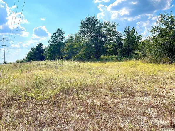 Ponderosa Loop, Paige, TX 78659