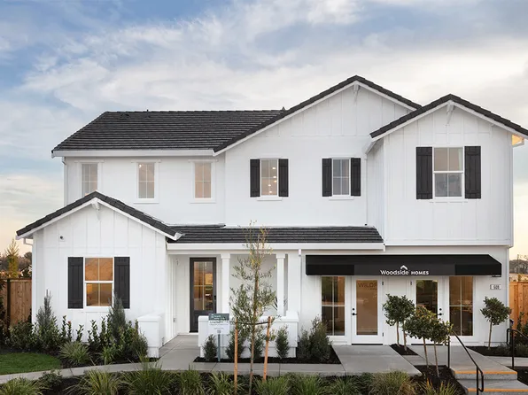 Zinnia Plan, Wildflower at Winding Creek