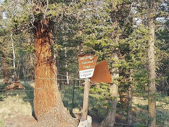 2nd image of 1167 Latigo Loop