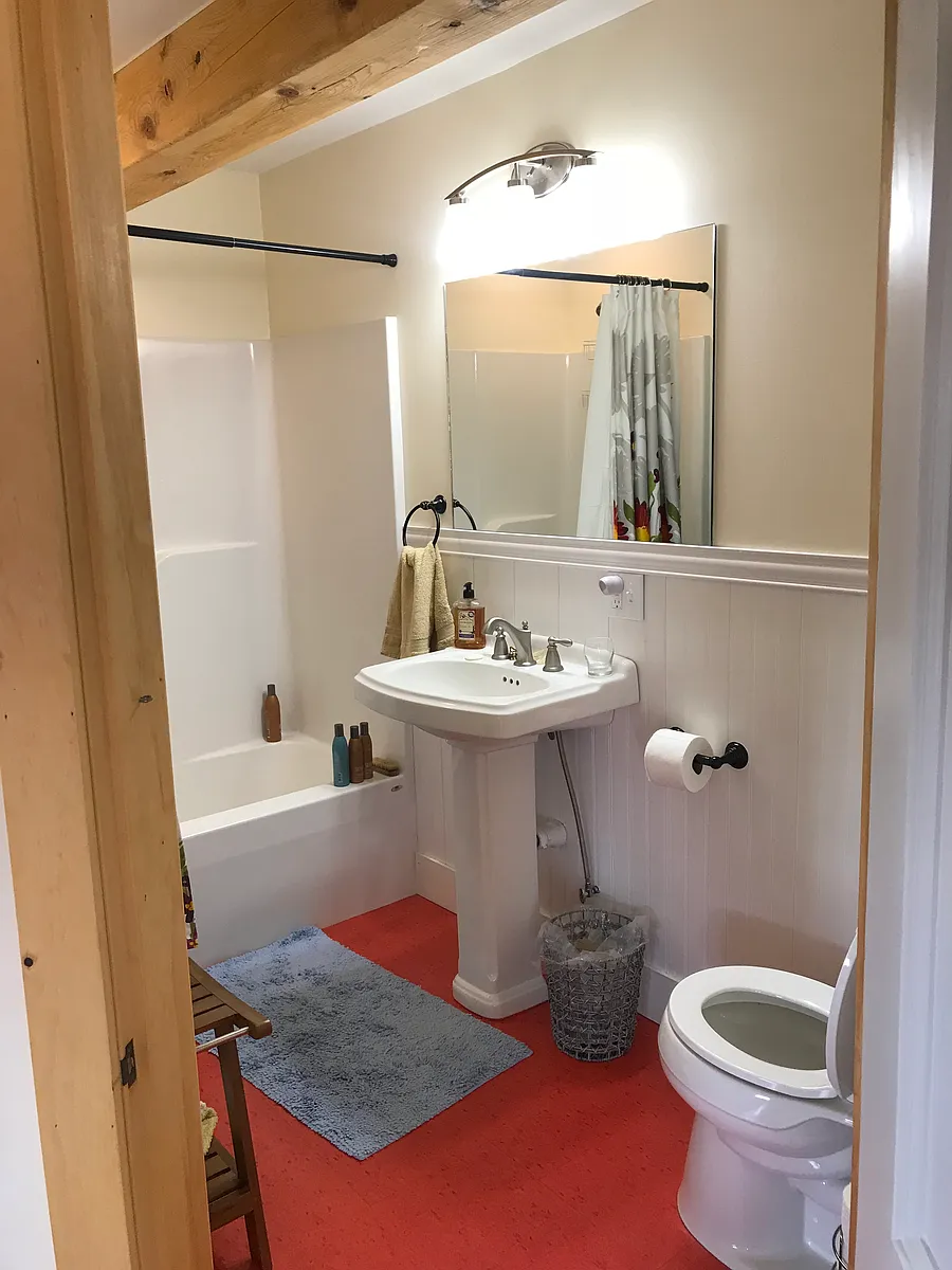 Full bath- shower/tub, etc. - 434 Camden Rd