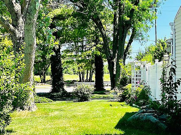 3rd image of 6691 Elm Park Dr