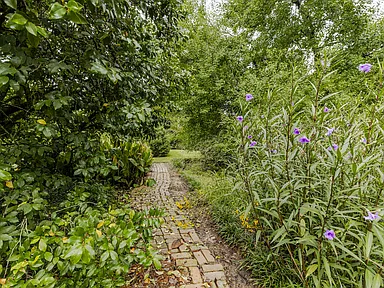 Property photo 64