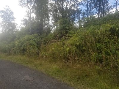 Jungle King Ave, Volcano, HI, 96785
