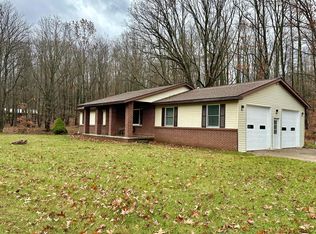 9665 River Rd, Evart, MI 49631