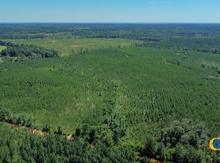 0 Allmon Rd, Butler, GA 31006