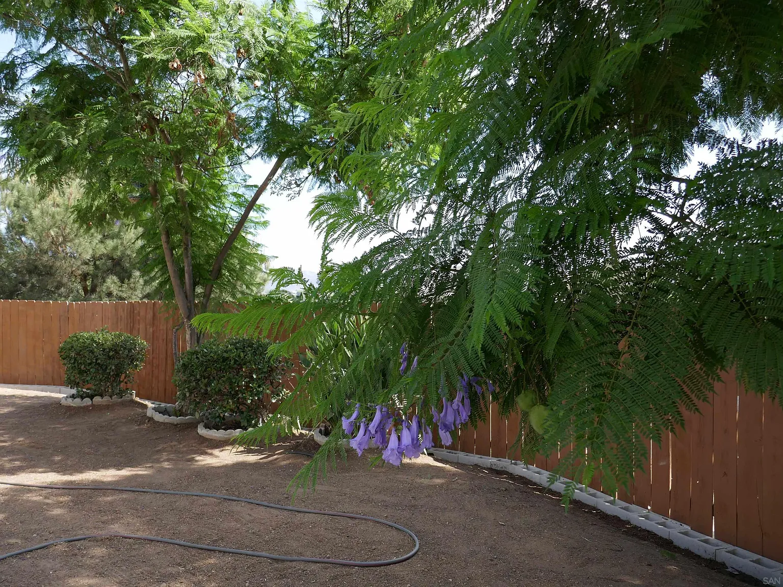 3 bed, 1585 sqft, $3,500 — Photo 3