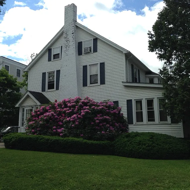2 bed, 1000 sqft, $2,000 — Photo 1