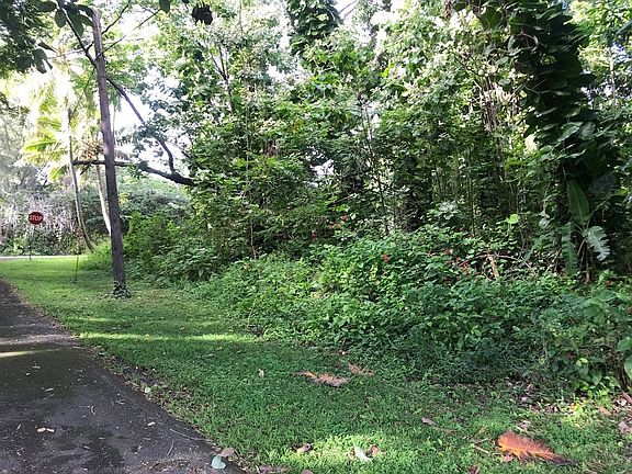 2nd image of Mauka Nui St Lot 93