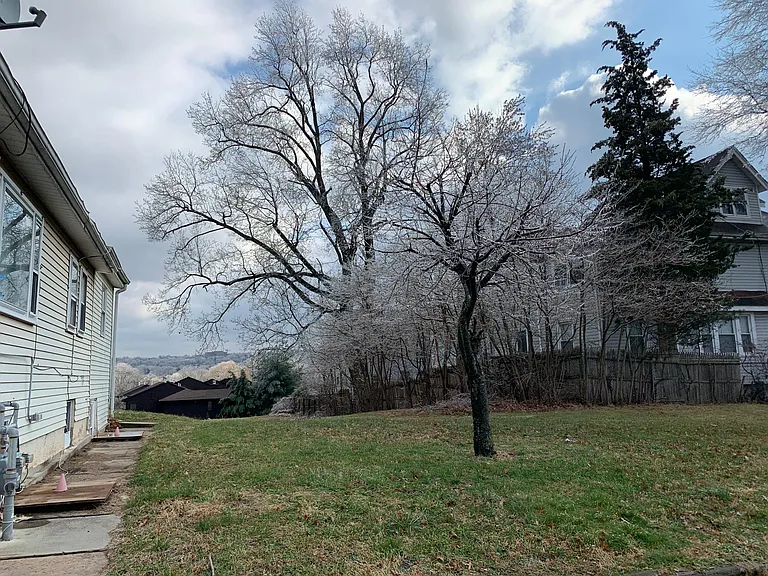 289 Home St #1 — Photo 4
