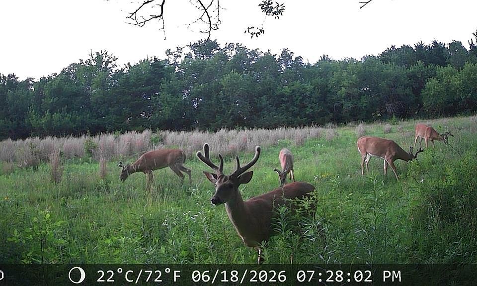 1st image of 624 Ohio Rd