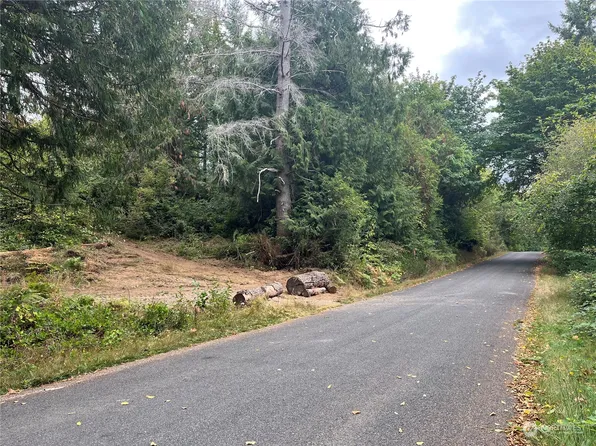 0 Lackey Road NW, Vaughn, WA 98394