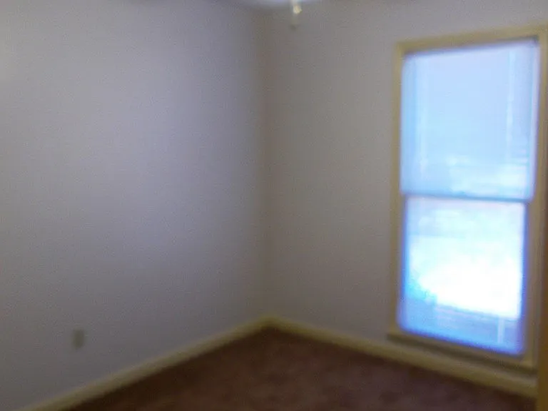 6806 Playfield Dr — Photo 7