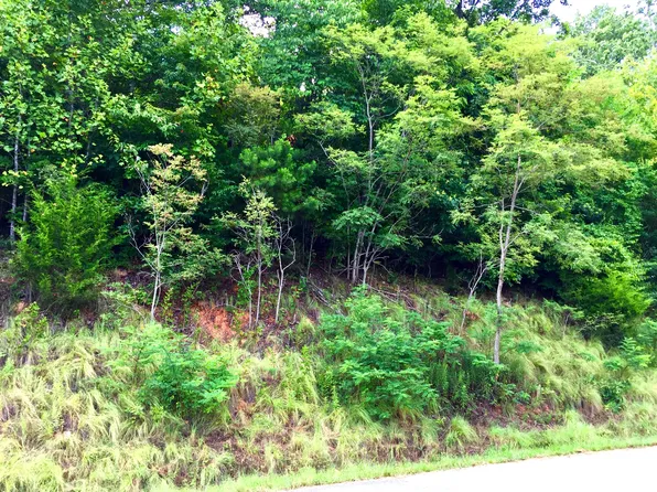 Whistle Valley Rd, New Tazewell, TN 37825