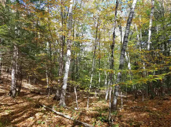 201 Upper Loveland Road, Norwich, VT 05055