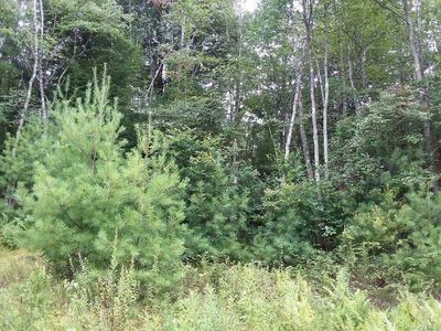  Briscoe Road, Bethel, NY, 12720