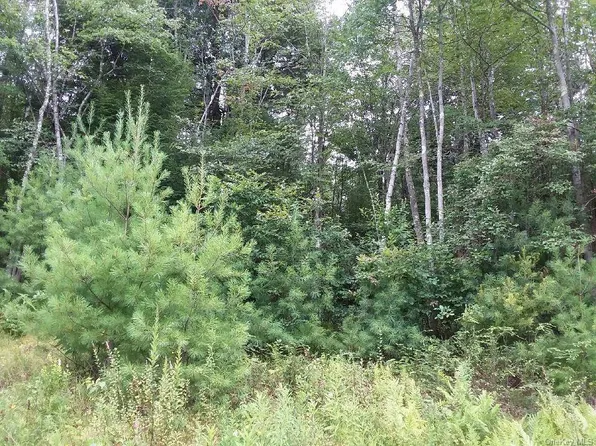 Briscoe Road, Bethel, NY 12720