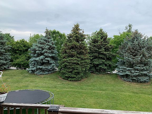 4th image of 10127 E Avondale Cir