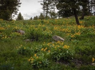 5 Tract Bull Gln, Bonner, MT 59823