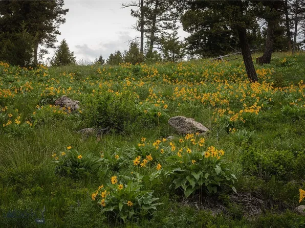 5 Tract Bull Gln, Bonner, MT 59823