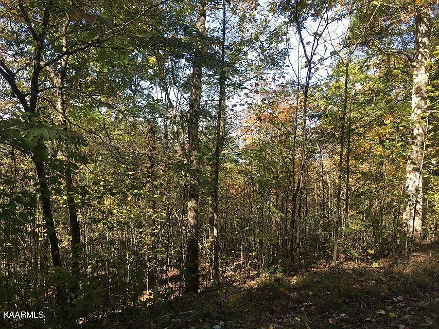 2nd image of 62 Overlook Trl