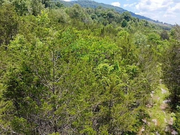 3rd image of 0 Mulberry Gap Rd