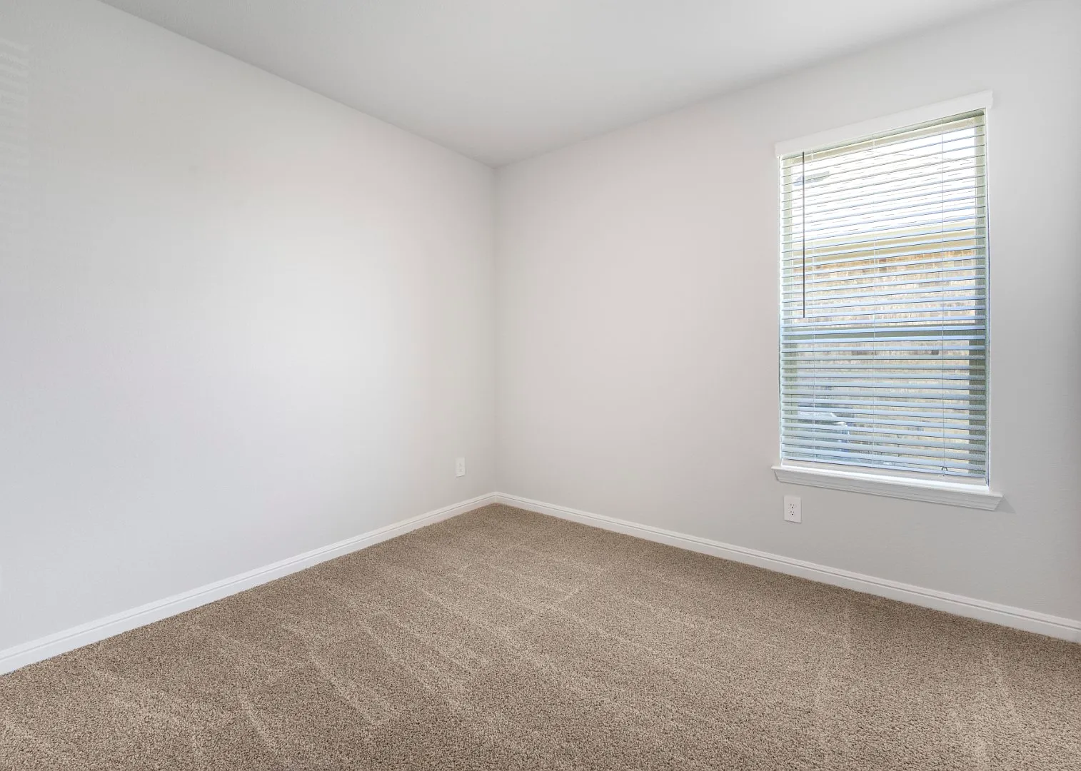 1906 Bluebonnet Ln — Photo 3