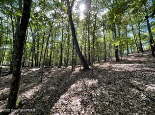 151 Chipmunk Rd, Bushkill, PA 18324