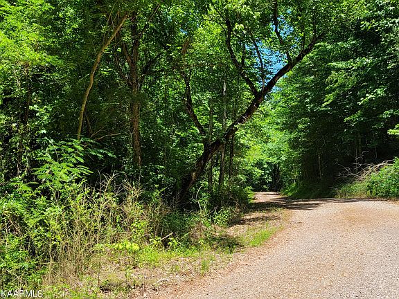 2nd image of County Road 484