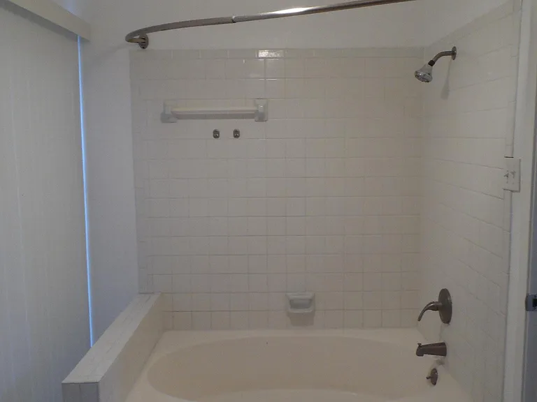 Master Bathroom_2
