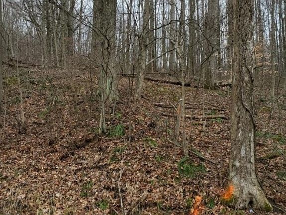 3rd image of 3961 Henderson School Rd NE